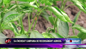S-a încheiat campania de recensământ agricol