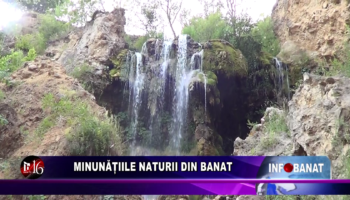 Minunățiile naturii din Banat