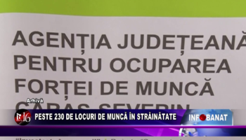 Peste 230 de locuri de muncă în străinătate