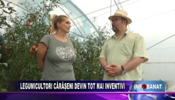 Legumicultorii cărășeni devin tot mai inventivi