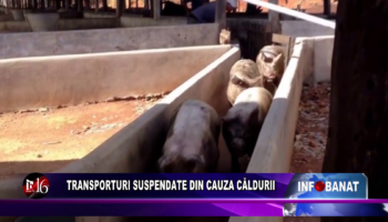 Transporturi suspendate din cauza căldurii