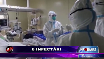 6 infectări