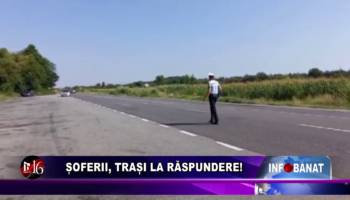 Șoferii, trași la răspundere!