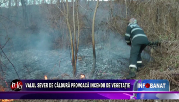 Valul sever de căldură provoacă incendii de vegetație