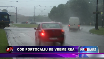 Cod portocaliu de vreme rea