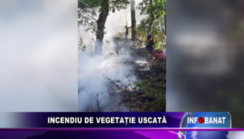 INCENDIU DE VEGETAȚIE USCATĂ