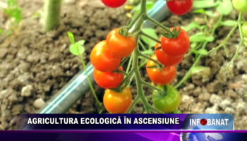 AGRICULTURA ECOLOGICĂ ÎN ASCENSIUNE