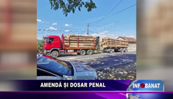 AMENDĂ ȘI DOSAR PENAL