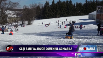 Câți bani va aduce domeniul schiabil?