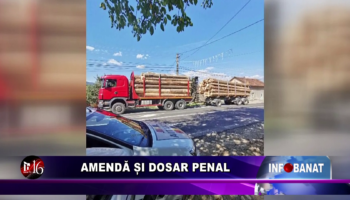 Amendă și dosar penal