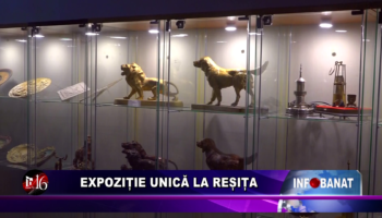 Expoziție unică la Reșița