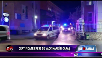 Certificate false de vaccinare în Caraș