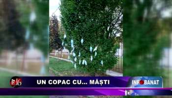 Un copac cu…    măști