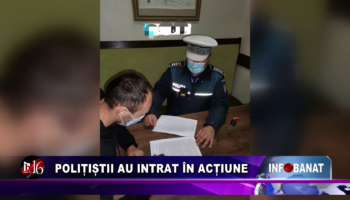 Polițiștii au intrat în acțiune