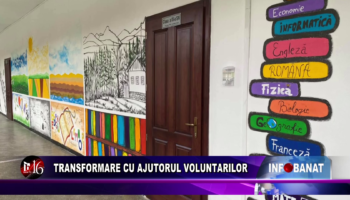 Transformare cu ajutorul voluntarilor