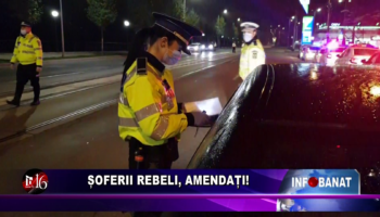 Șoferii rebeli, amendați!