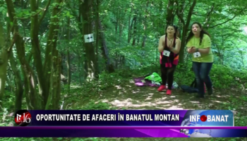 Oportunitate de afaceri în Banatul Montan