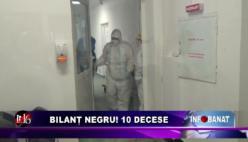 Bilanț negru! 10 decese