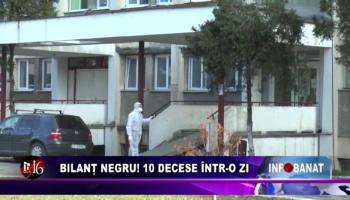 Bilanț negru! 10 decese într-o zi