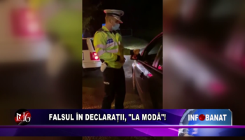 Falsul în declarații, „la modă”!