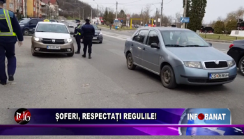 Șoferi, respectați regulile!