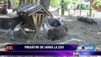 Pregătiri de iarnă la Zoo