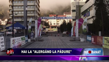 Hai la „Alergând la pădure”