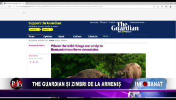 The Guardian și zimbri de la Armeniș