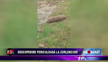 Descoperire periculoasă la Zorlencior!