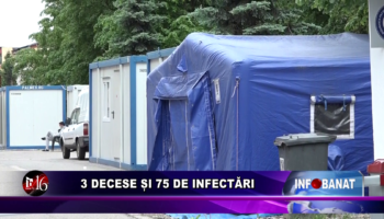 3 decese și 75 de infectări