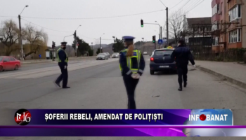 Șoferii rebeli, amendați de polițiști