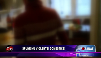 Spune nu violenței domestice!