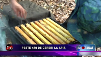 Peste 450 de cereri la APIA