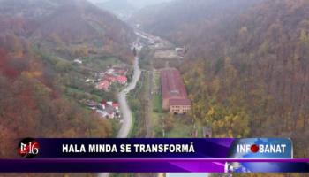 Hala Minda se transformă