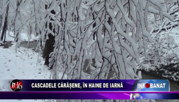 Cascadele cărășene, în haine de iarnă