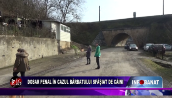 Dosar penal în cazul bărbatului sfâșiat de câini