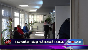 S-au grăbit să-și plătească taxele