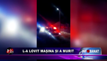 L-a lovit mașina și a murit