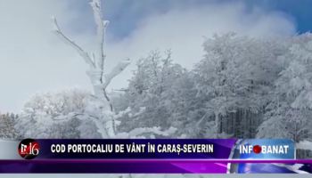 Cod portocaliu de vânt în Caraș-Severin