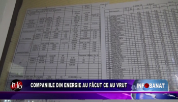 Companiile din energie au făcut ce au vrut