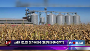 Avem 150.000 de tone de cereale depozitate