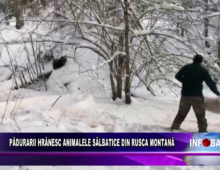 Pădurarii hrănesc animalele sălbatice din Rusca Montană