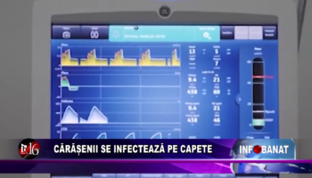 Cărășenii se infectează pe capete