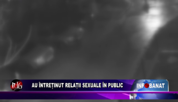 Au întreținut relații sexuale în public