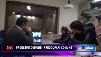 Probleme comune  – preocupări comune