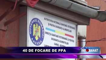 40 de focare de PPA