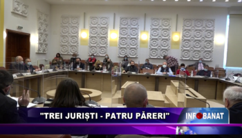 „Trei juriști  – patru păreri”