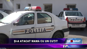 Și-a atacat mama cu un cuțit