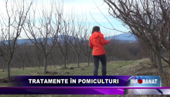 Tratamente în pomiculturi