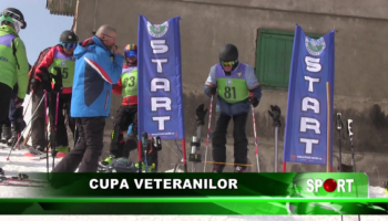 Cupa Veteranilor
